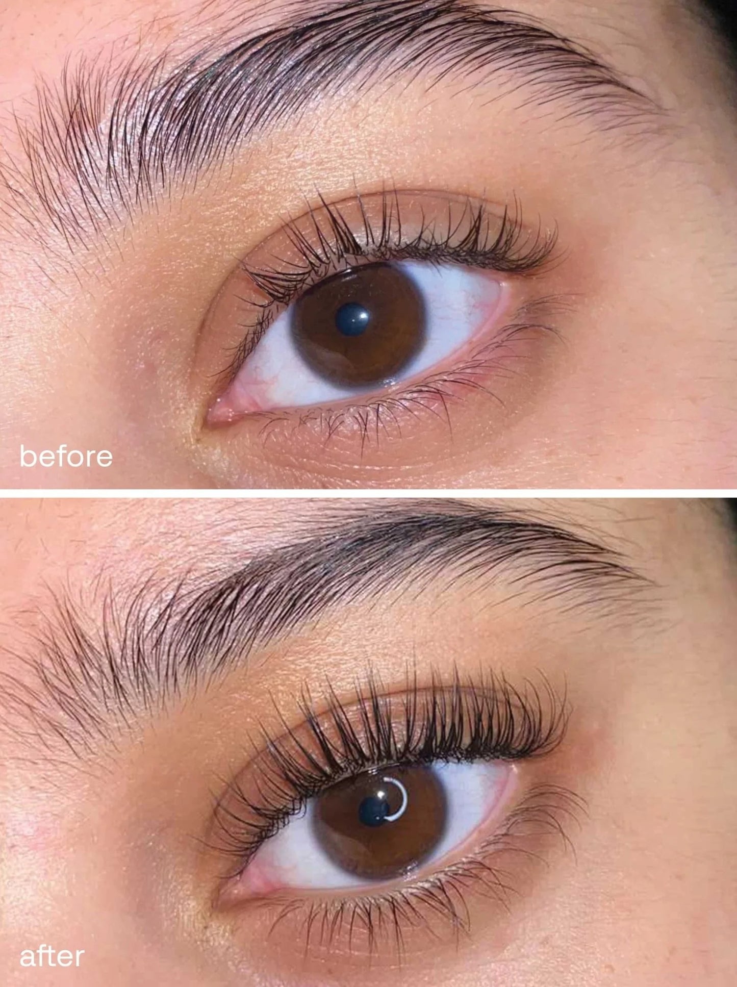 Eyelash Growth serum