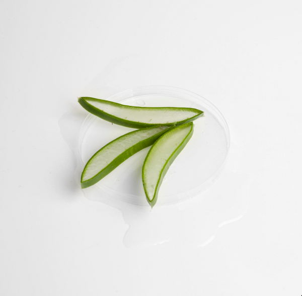 Aloe Vera Leaf Extract 10%