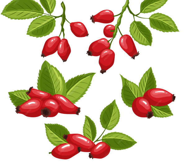 Rose Hip 1%